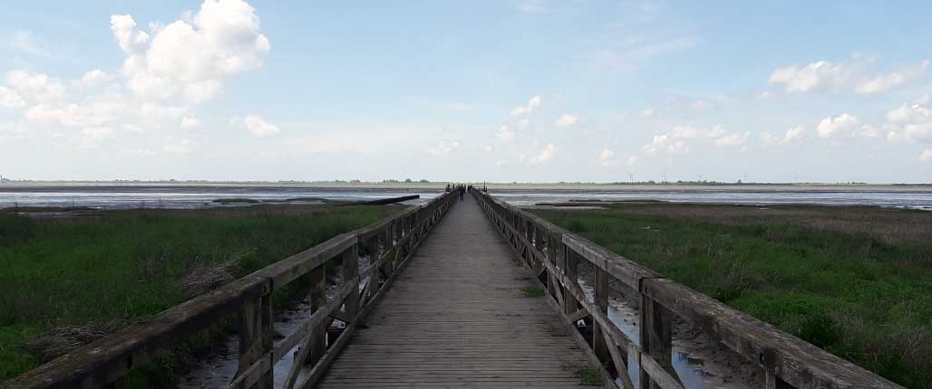 Spaß am Meer - Nordsee und Mehr